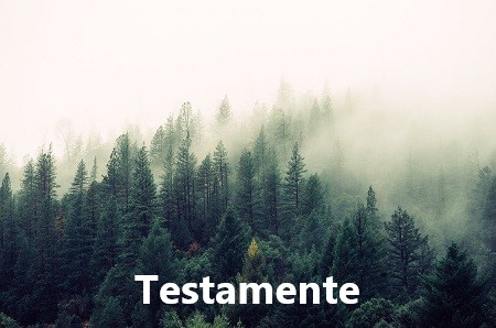 TESTAMENTE_